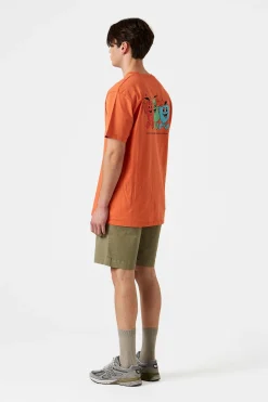 Fruits Plain Orange | Edmmond Studios New