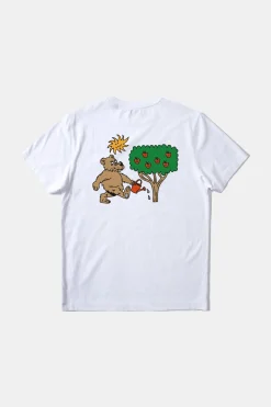 Oso Y Madrono Plain White | Edmmond Studios Store