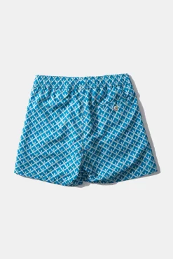 Shell Classic Plain Blue | Edmmond Studios Discount